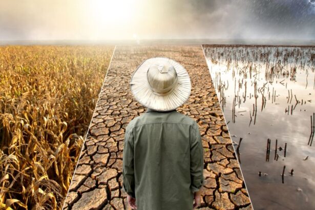 7 Things Everyone Can Do to Help Fight Climate Change