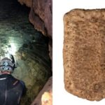 Fossils Of Rare Ice Age Animals Found In Texas Cave