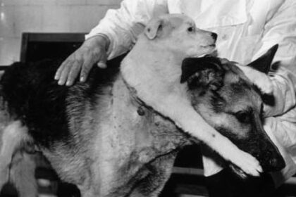 How Vladimir Demikhov Made A Two-Headed Dog