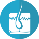 The Science of Strands: Why Hair Remembers Everything