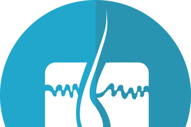 The Science of Strands: Why Hair Remembers Everything