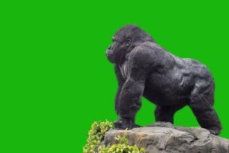 10 CGI Characters That Pushed Special Effects Teams to the Limit