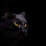 10 Monsters That Can Make–or Break–Your Bank