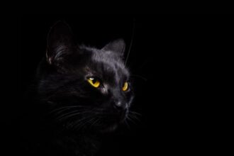 10 Monsters That Can Make–or Break–Your Bank