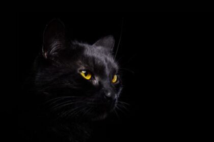 10 Monsters That Can Make–or Break–Your Bank