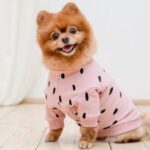 10 Most Elaborate Pranks of the 1900s