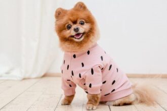 10 Most Elaborate Pranks of the 1900s