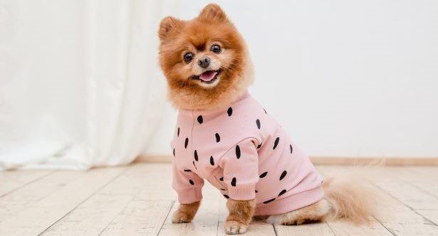 10 Most Elaborate Pranks of the 1900s