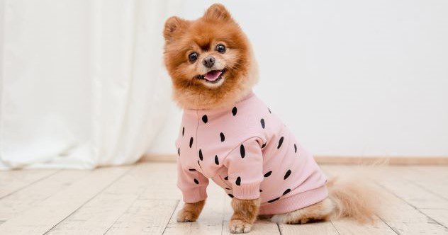 10 Most Elaborate Pranks of the 1900s