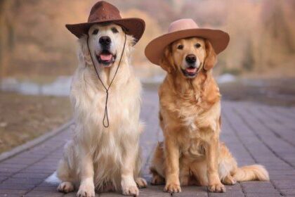 10 Bizarre Farms You Never Knew Existed