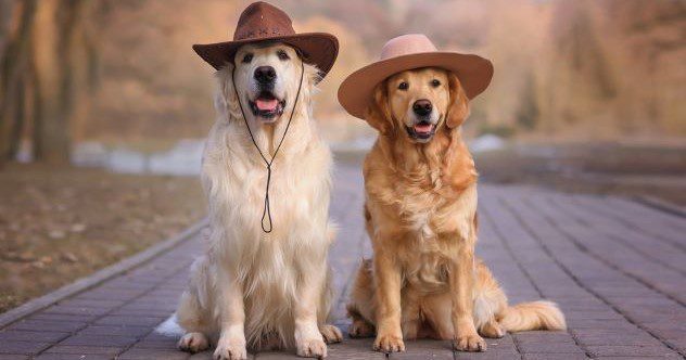 10 Bizarre Farms You Never Knew Existed