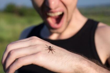 10 Bizarre Fears and Phobias Specific to One Culture