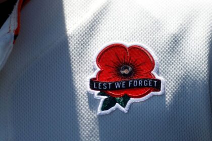 Why People Wear Poppies on Memorial Day