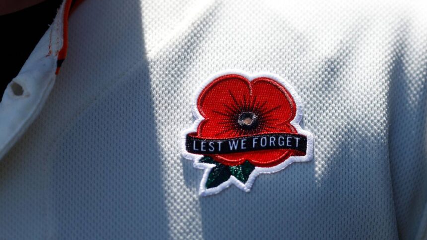 Why People Wear Poppies on Memorial Day