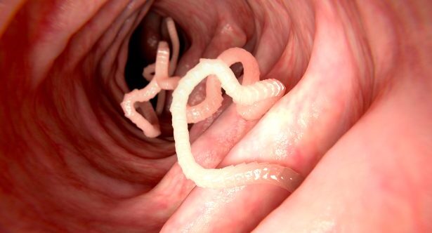 Top 10 Surprising Ways Diseases Have Been Cured