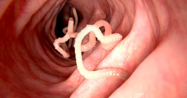 Top 10 Surprising Ways Diseases Have Been Cured