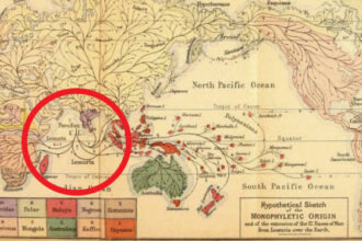 Was Lemuria Real? Inside The Story Of The Fabled Lost Continent