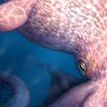 Paleontologists Identify 60-Foot Octopus With Bone-Crushing Jaws