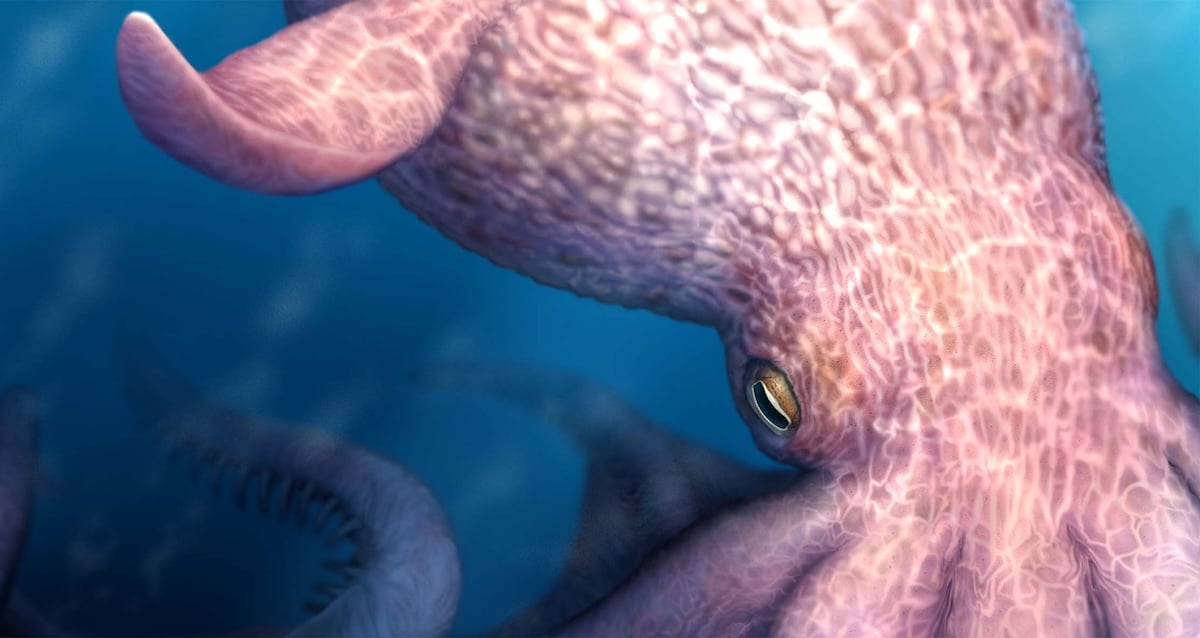 Paleontologists Identify 60-Foot Octopus With Bone-Crushing Jaws
