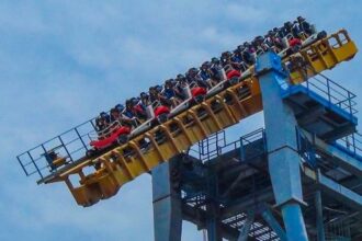 Ten Really Weird Roller Coasters from around the World