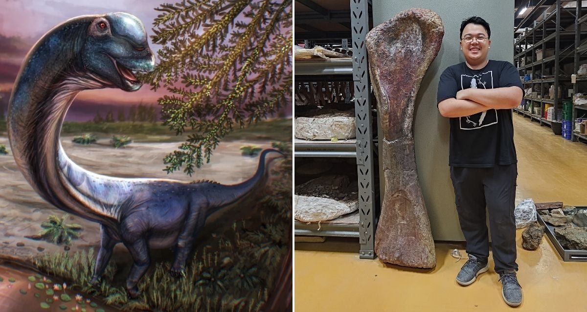 Scientists Identify Largest Dinosaur Ever Found In Southeast Asia
