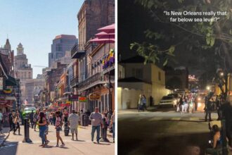 Is New Orleans Really ‘Sinking’?