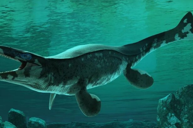 ‘T. Rex Of The Ocean’: Massive Prehistoric Reptile Discovered
