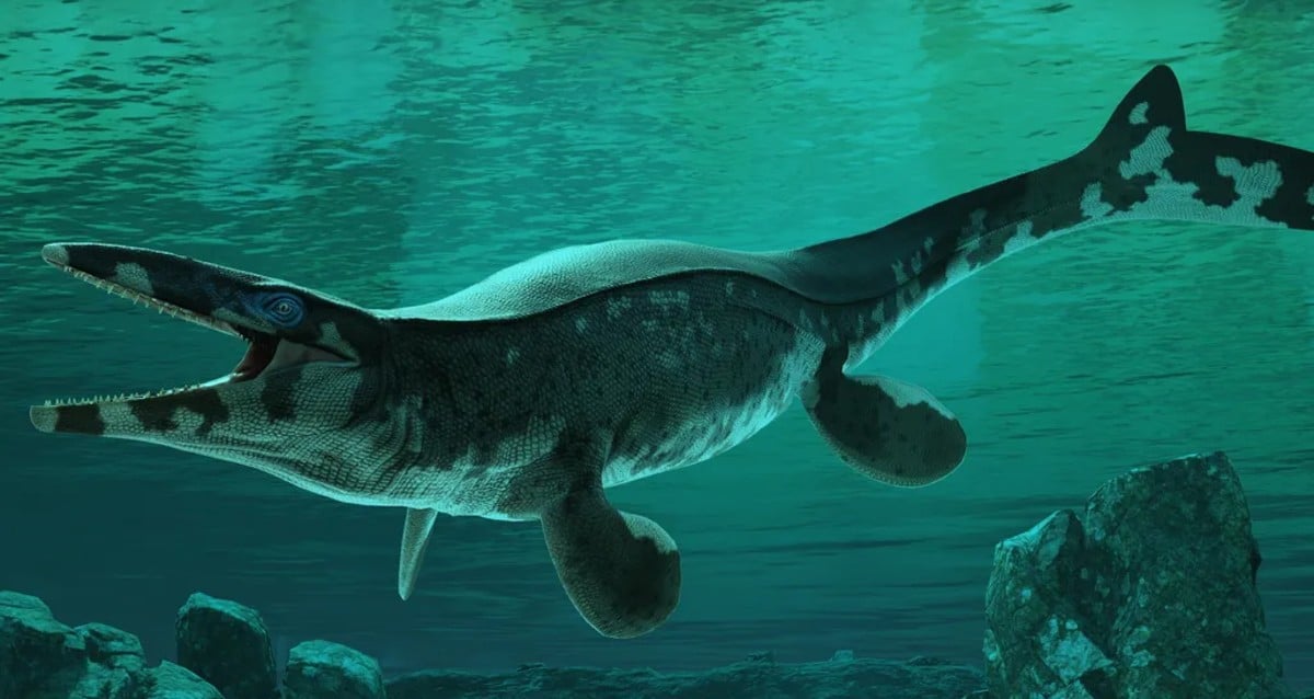 ‘T. Rex Of The Ocean’: Massive Prehistoric Reptile Discovered