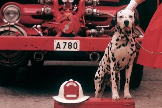 Why Are Dalmatians Associated With Firefighters?