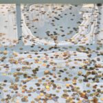 Why Do We Toss Coins Into Fountains?