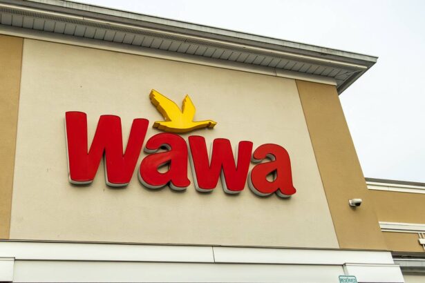Why Is Wawa Called Wawa?
