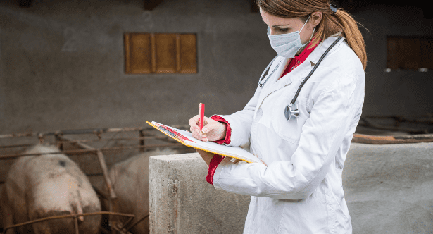 Top 10 Horrible Diseases that Came From Animals