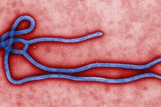 11 Little-Known Ebola Facts | KickassFacts