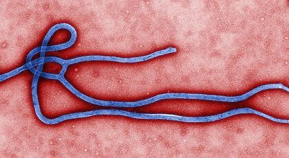 11 Little-Known Ebola Facts | KickassFacts