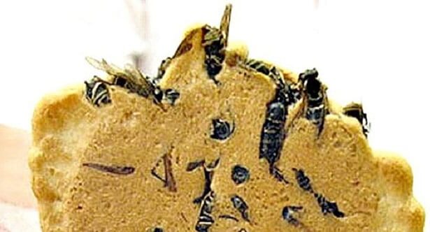10 Most Bizarre Ways We Use Animals As Food