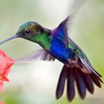 10 of the Most Gluttonous Animals