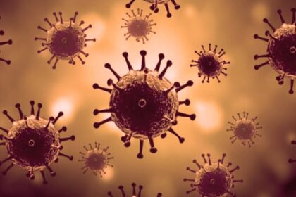 Top 10 Viral Facts About Viruses