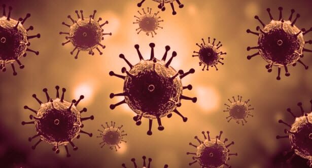 Top 10 Viral Facts About Viruses