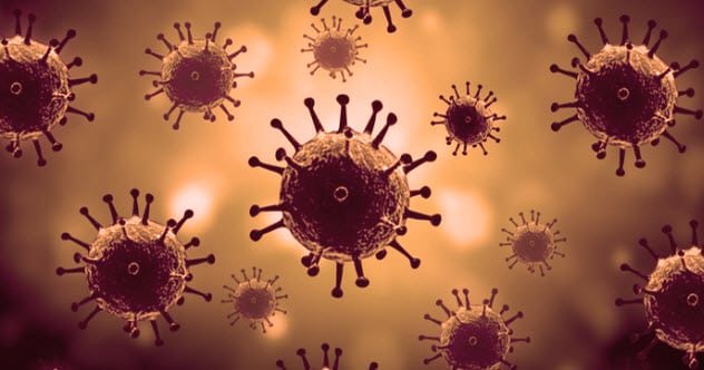 Top 10 Viral Facts About Viruses