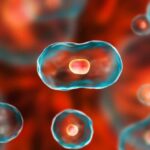 Top 10 Significant Advancements In Medicine In The 21st Century
