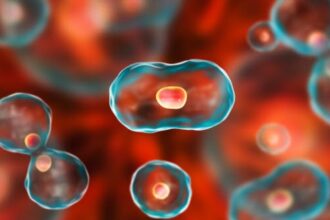 Top 10 Significant Advancements In Medicine In The 21st Century