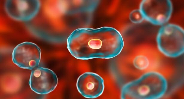 Top 10 Significant Advancements In Medicine In The 21st Century
