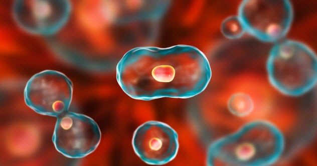 Top 10 Significant Advancements In Medicine In The 21st Century