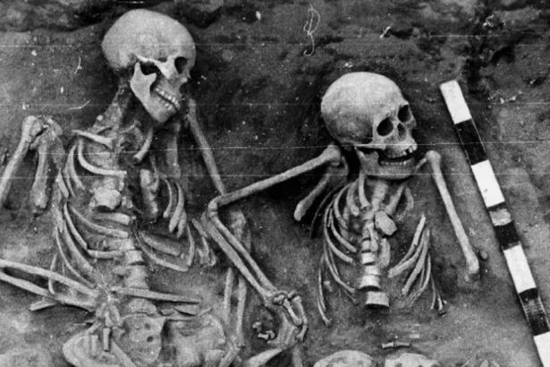 History’s First Known Bubonic Plague Cases Found In Siberia