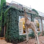Top 10 Out of This World Hotel Rooms