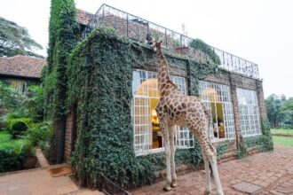 Top 10 Out of This World Hotel Rooms