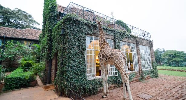 Top 10 Out of This World Hotel Rooms