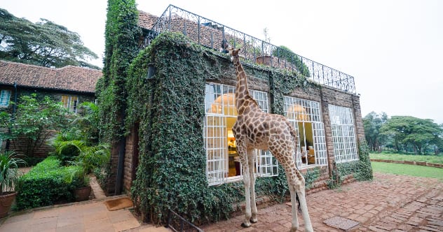 Top 10 Out of This World Hotel Rooms