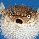 10 Things That Exist (But Not in the Way You Think)