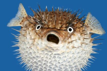 10 Things That Exist (But Not in the Way You Think)